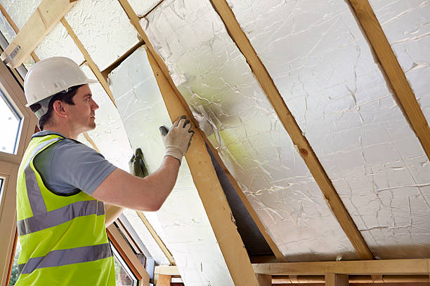 Best Insulation Contractor Near Me  in Gainesboro, TN